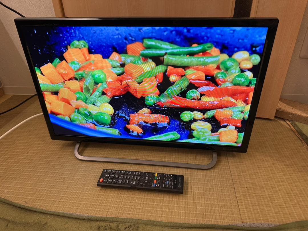 録画可！ELSONIC 24型　500GB内蔵　テレビ　2020年製　美品！