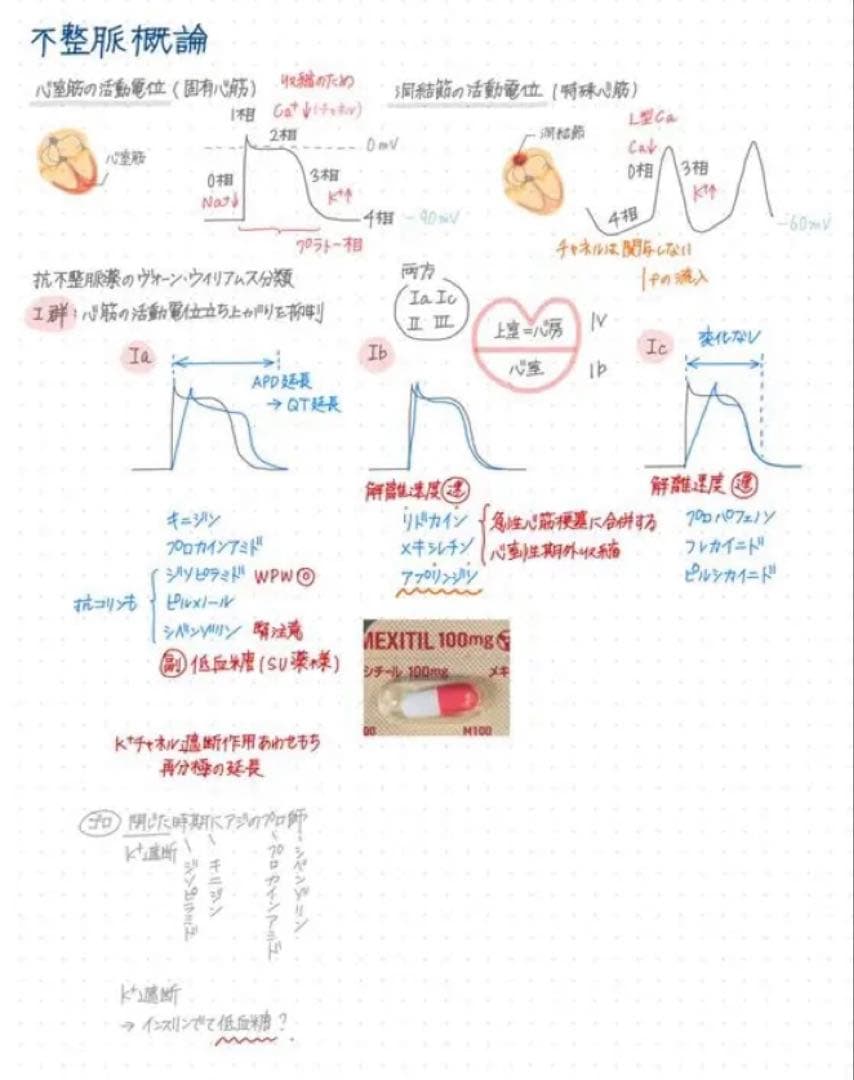 薬剤師国家試験対策 まとめノート 全科目セット 薬学部 - メルカリ
