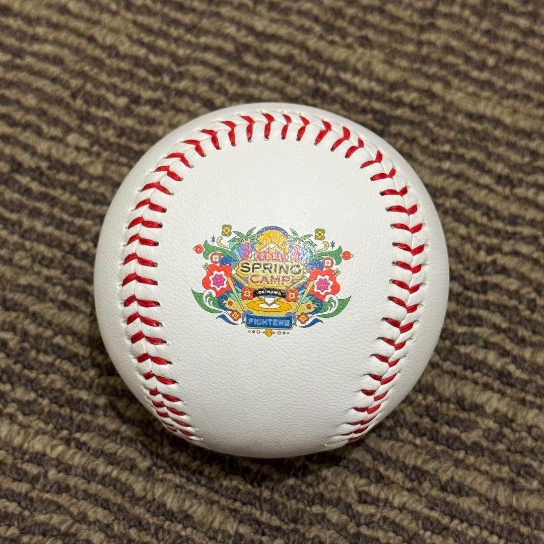 北海道日本ハムファイターズ 水谷瞬 直筆サインボール 名護キャンプ