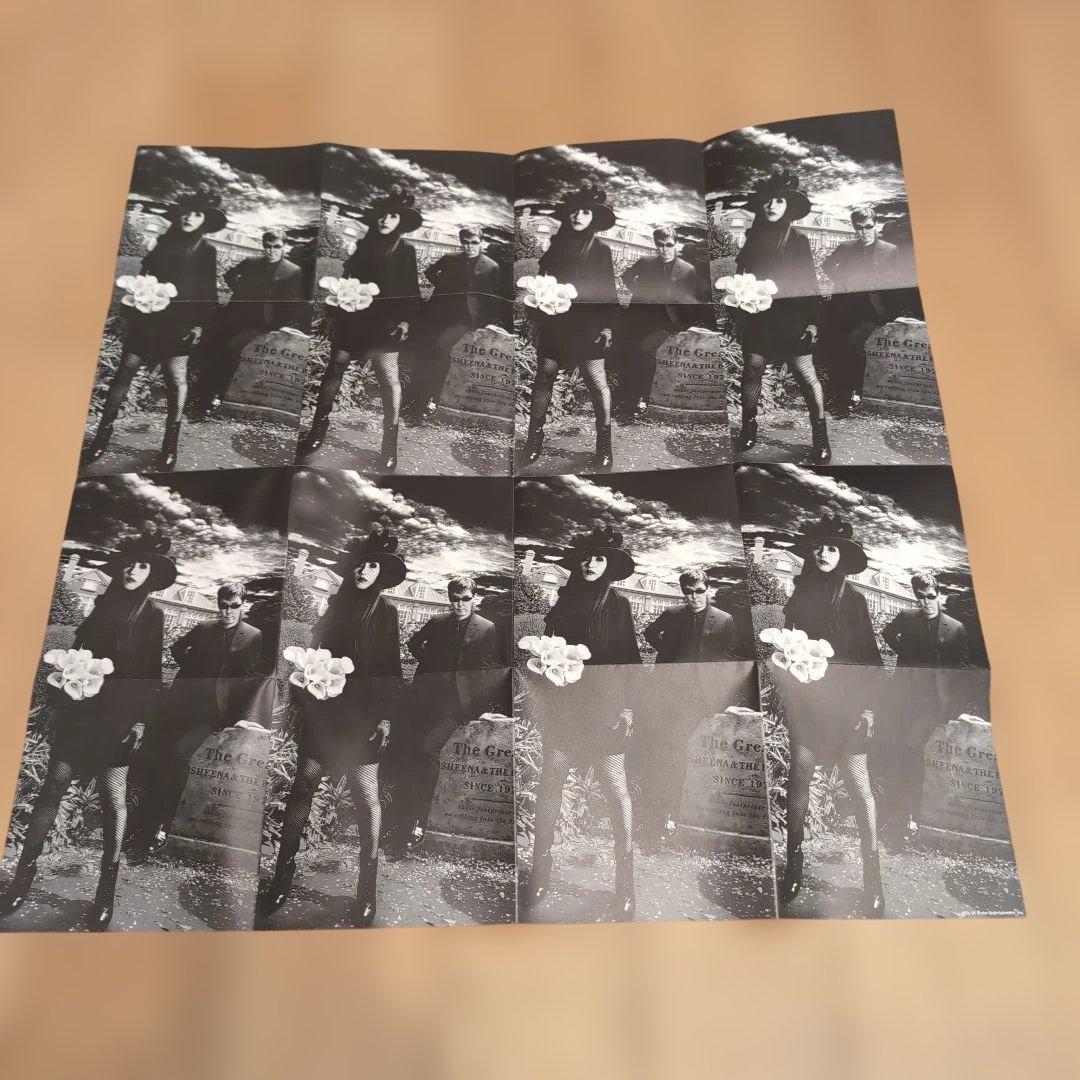 SHEENA&THE ROKKETS/25th DREAM BOX 鮎川誠 - メルカリ