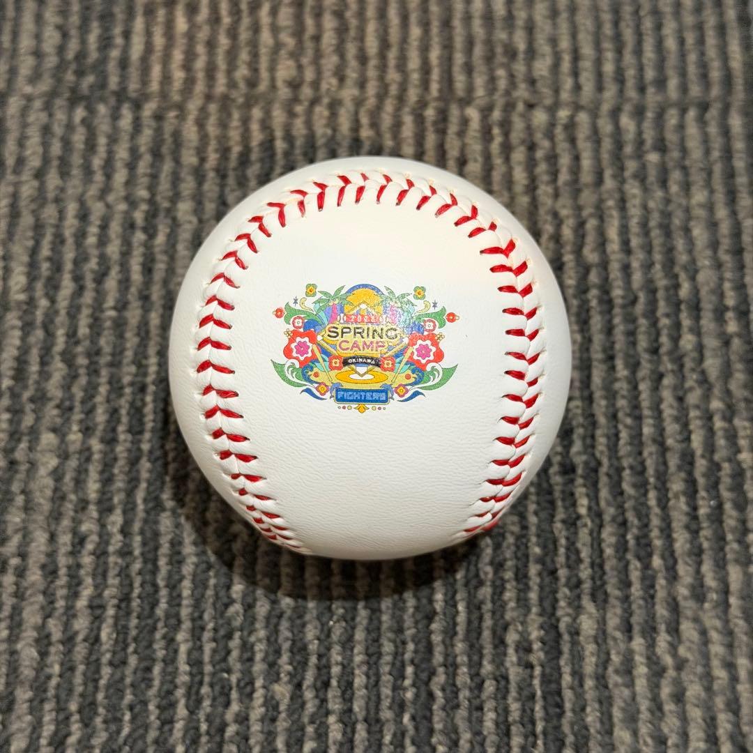 北海道日本ハムファイターズ 伊藤大海 直筆サインボール キャンプロゴ