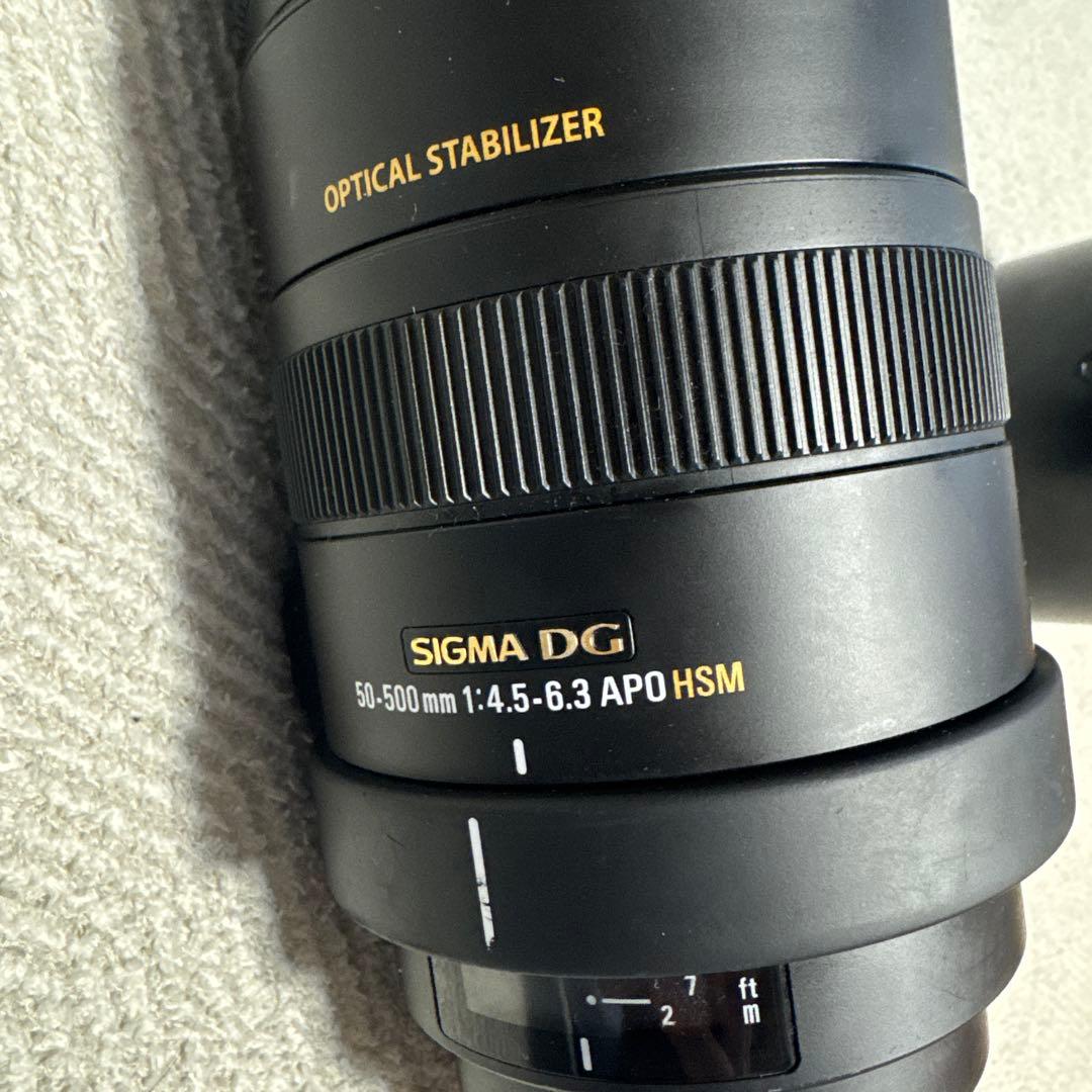 SIGMA 50-500mm F4.5-6.3 APO HSM キャノン用