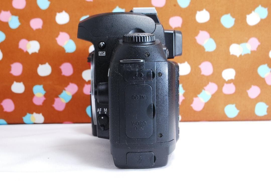 ✨お買い得✨ショット回数3742回✨Nikon D70 レンズセット - メルカリ