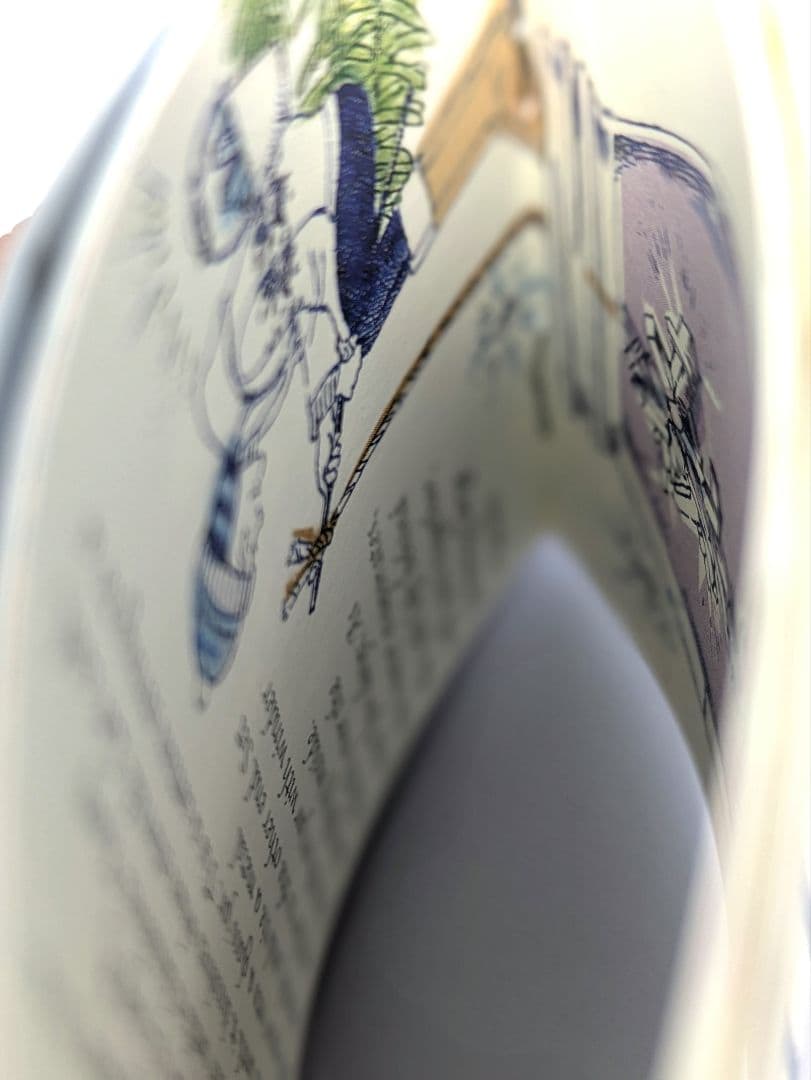 鳩山郁子 豆本と、サイン入りCAMERA Daysのフィル厶、（上箱無し