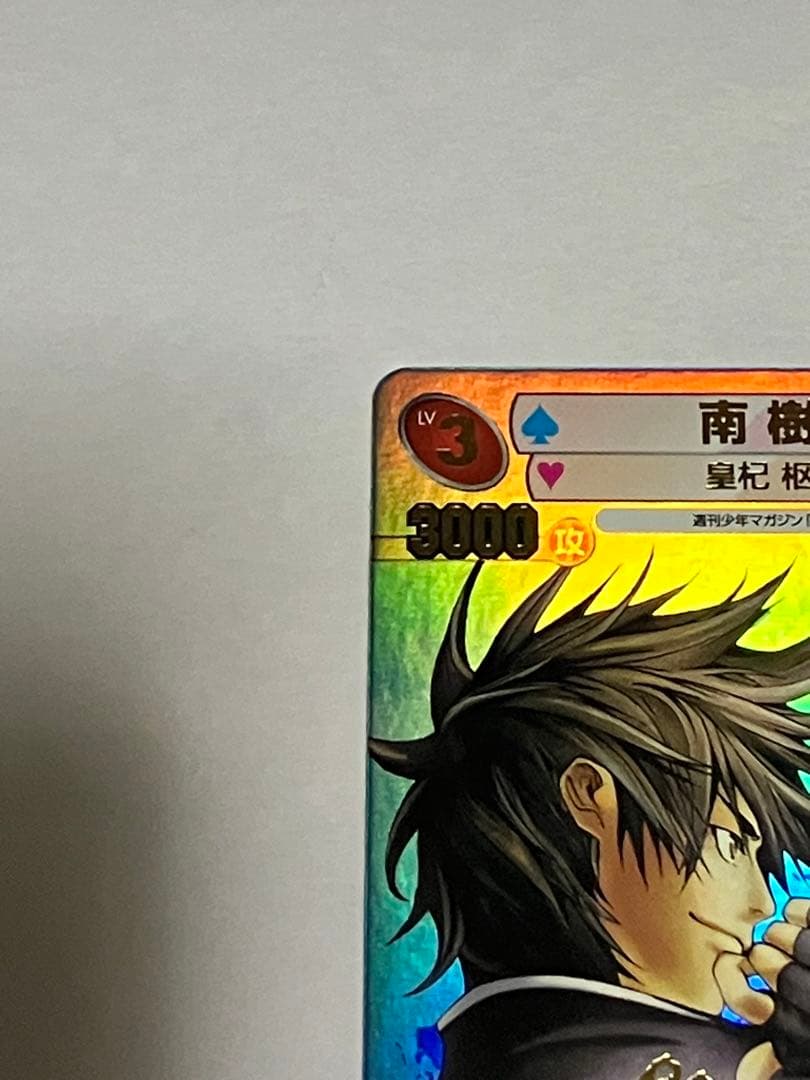 サンデーVSマガジン 【大暮維人 金サインカード】 南 樹 - メルカリ