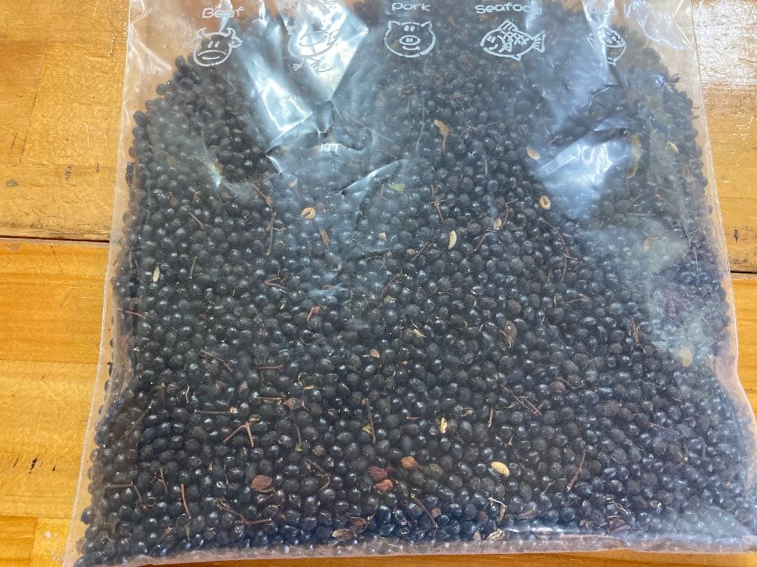 富士北麓産 山椒のタネ 種 約8,000粒 約230g