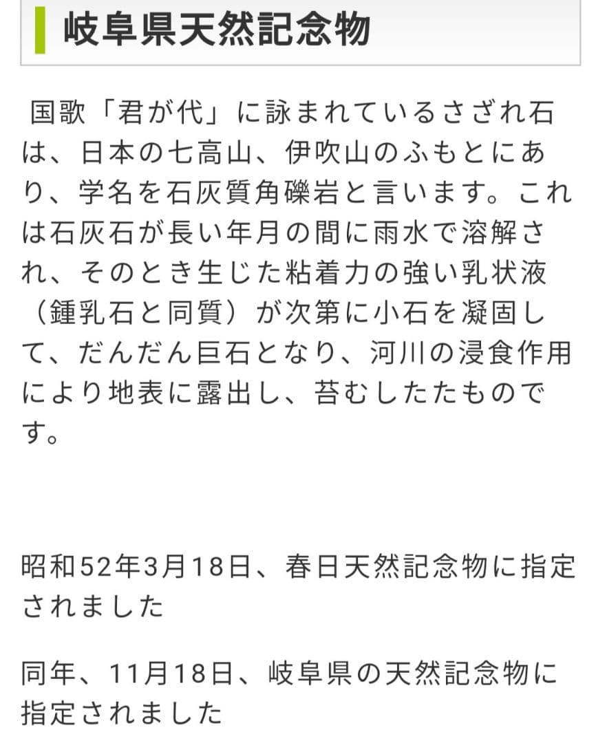 岐阜県 揖斐川産 さざれ石 64キロ 庭石 鑑賞石 石 庭 坪庭