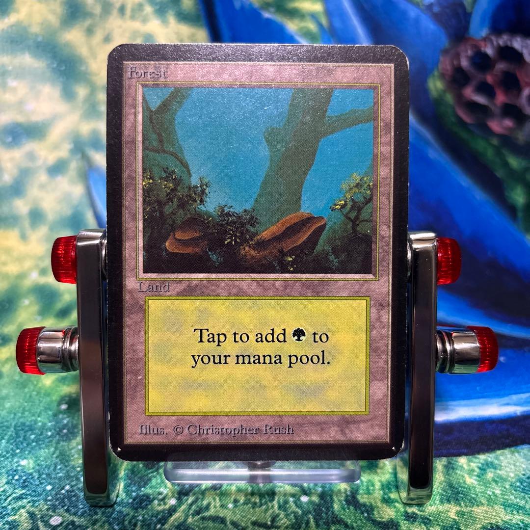 51 190 《森/Forest》MTG アルファ α [LEA] 基本土地 - メルカリ