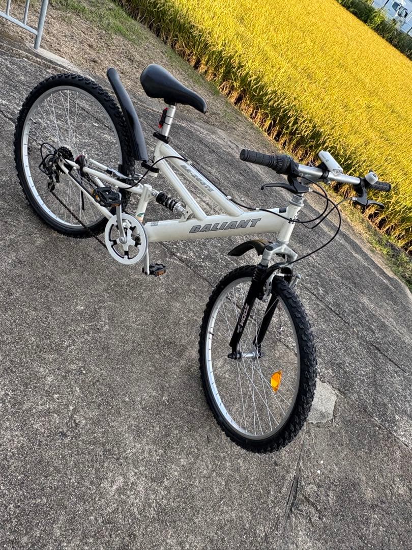 Minami Yuukiさん専用 バリアント・フルサスMTB(26㌅)