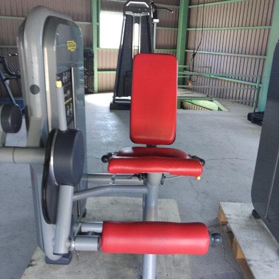 TECHNOGYM レッグエクステンション・カール2台セット（引取り限定