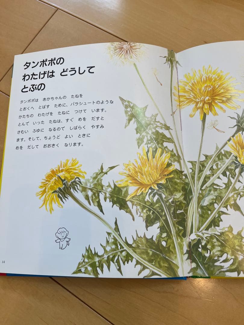 なぜなにブック　家庭保育園第4教室 22巻フルセット