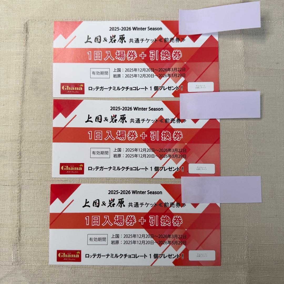 岩原＆上国 リフト1日入場券➕引換券3枚 上越国際スキー場 岩原スキー