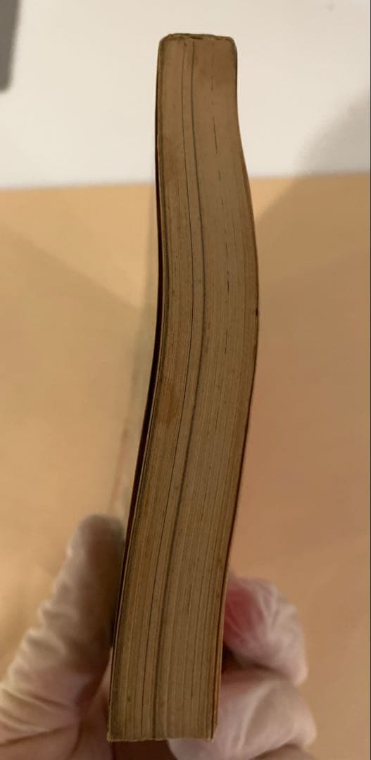 て*や様 【絶版！激レア】「わが青春のアルカディア」初出のビッグコミックオリジナ