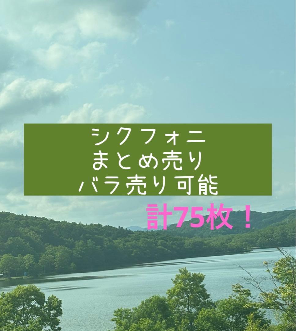 シクフォニ 紙類 まとめ売り シクフォニ紙類まとめ売り｜Yahoo!フリマ（旧PayPayフリマ）
