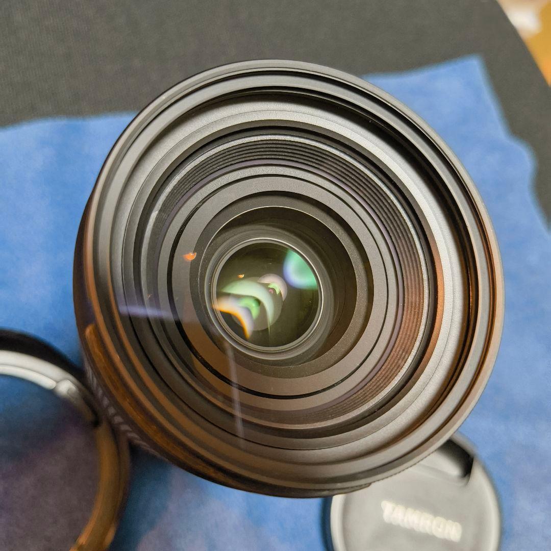 28-200mm F2.8-5.6 Di Ⅲ RXD SONY E