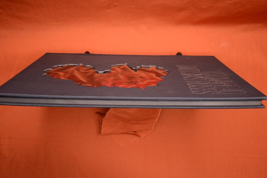 VISIONAIRE 40：DAVID SIMS ROSES　★★値下げしました