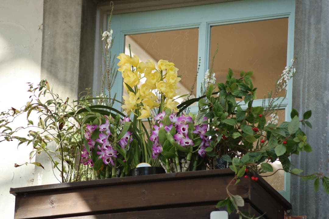 キヤノン Canon EF100-300mmF4.5-5.6 USM（訳あり）