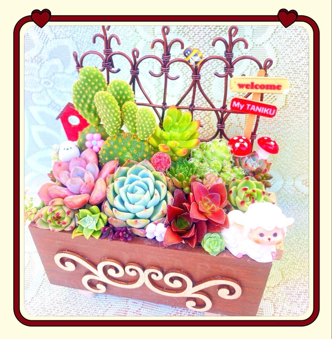 サボテン◇多肉寄せ植え◇ワイヤーフェンス◇木箱 - メルカリ