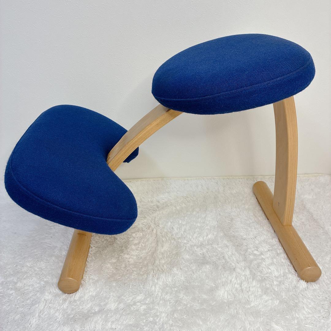 極美品】 バランスイージー 通常フレーム 防水カバー付き ブルー