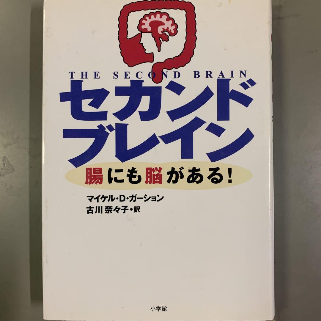 セカンドブレイン　マイケル　D ガーション Michael Kors MK3097 Hidden Hills Eyeglasses | LensCrafters