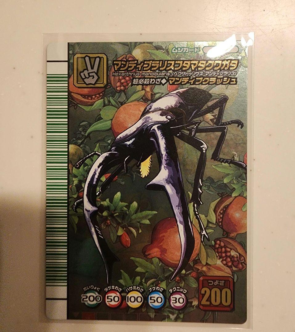 希少】ムシキング マンディブラリスフタマタクワガタ 5周年 緑バー