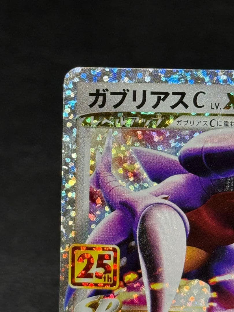 ガブリアスC チャンピオン プロモカードパック 25周年記念プロモカード