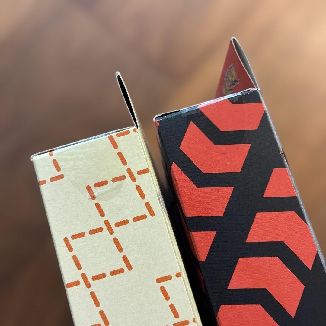 サイトウの放課後 キバナの不屈