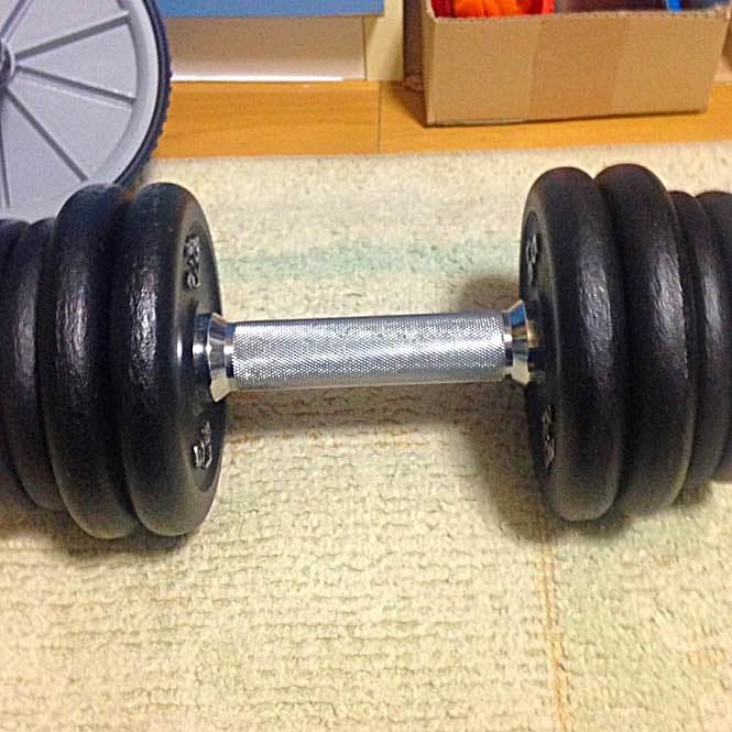 20キロのダンベル Pure Series 可変式ダンベル 20kgブラック – Byzoom Fitness JAPAN