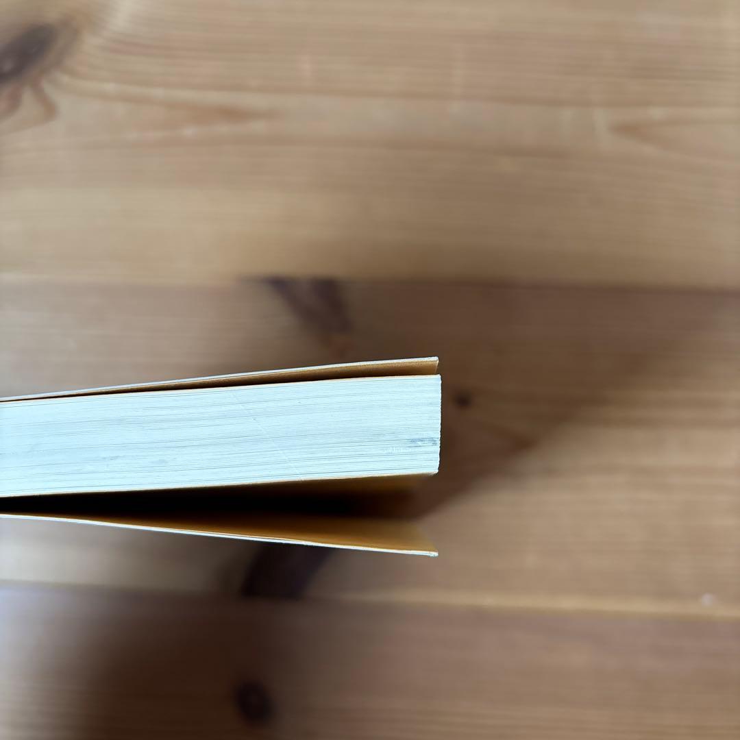 s*a様 【レア品】社会科個別指導入門 山崎林平