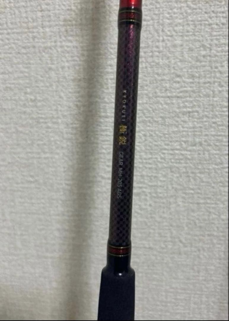 Daiwa ダイワ 極鋭ギア MH-205 AGS 船竿 - メルカリ