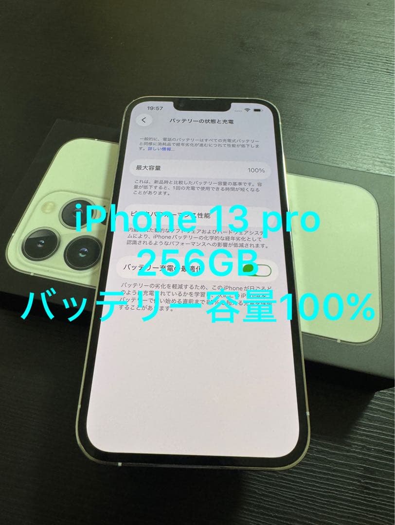 Apple iPhone 13 Pro 256GBバッテリー残量100%シルバー 本日限定価格_値下げ不可【バッテリ100% 】iPhone 13 Pro Silver 256GB