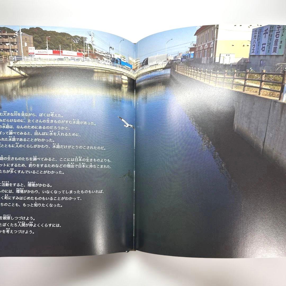 【2点購入150円引】ごみ水路水族館　武田晋一　ボコヤマクリタ