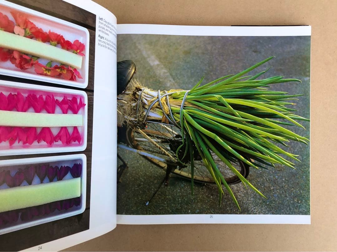 JAPANESE STYLE ジャパニーズ スタイル写真集(洋書)