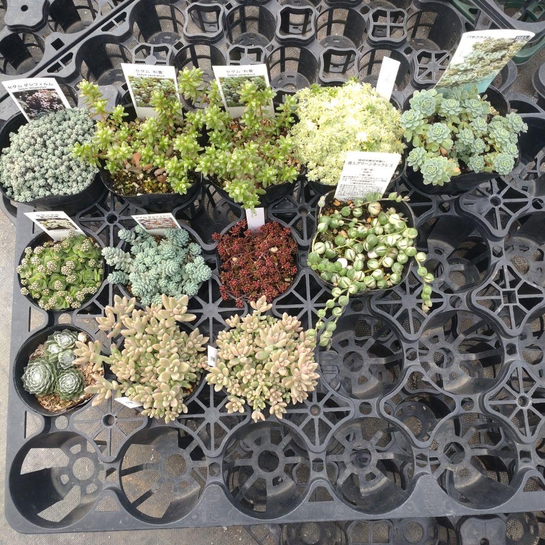 mimizuku ♪(´ε｀ )さん専用