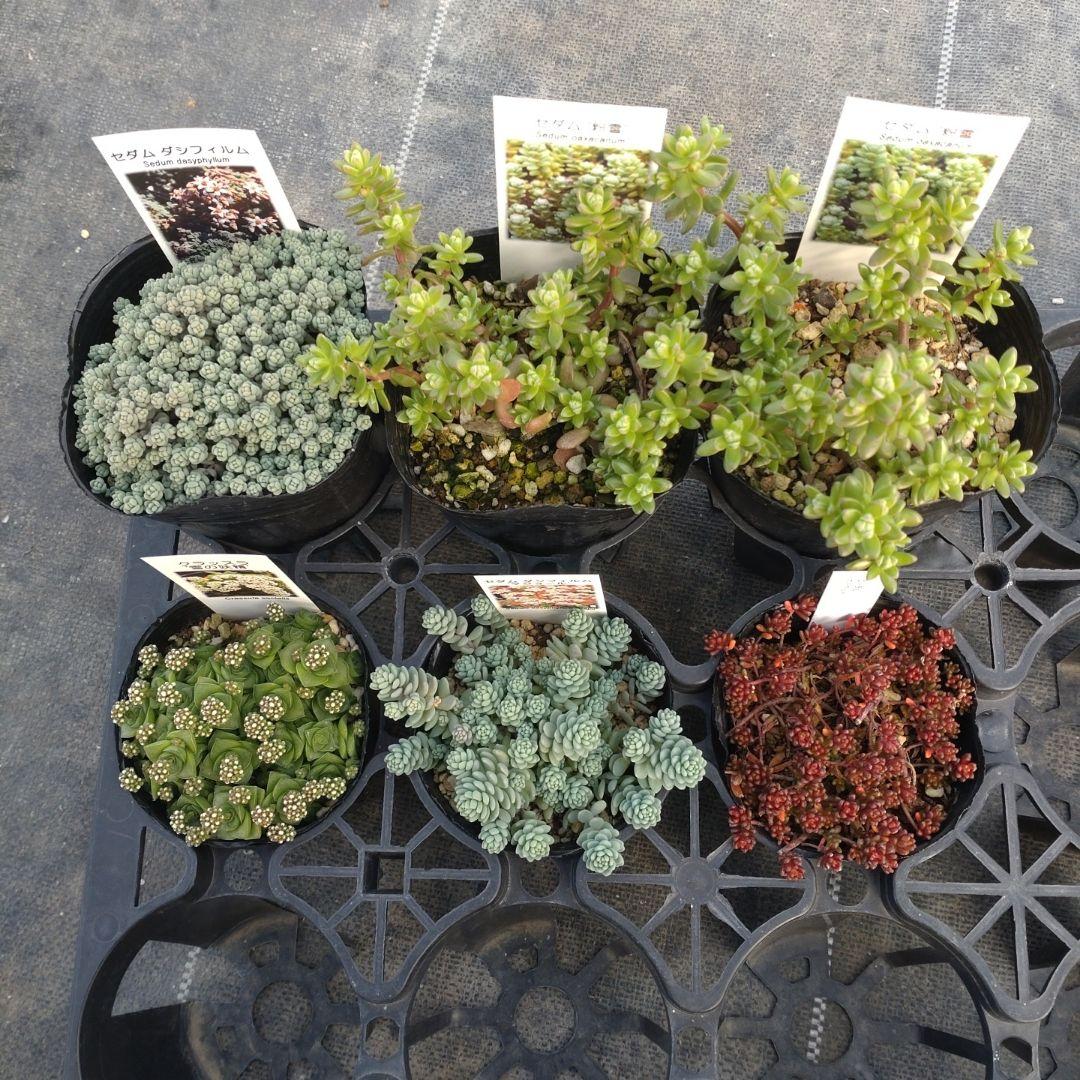 mimizuku ♪(´ε｀ )さん専用