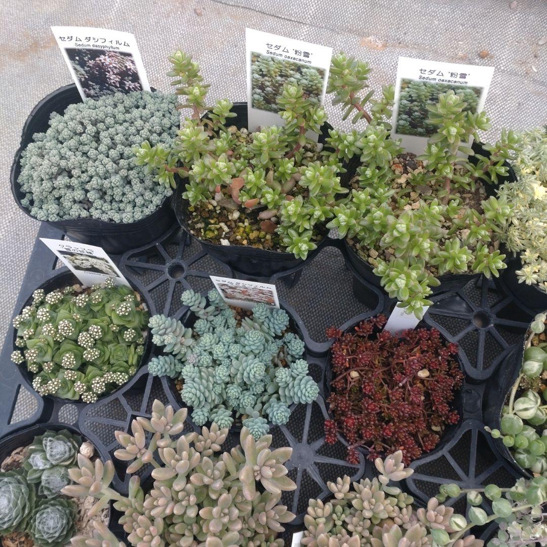 mimizuku ♪(´ε｀ )さん専用