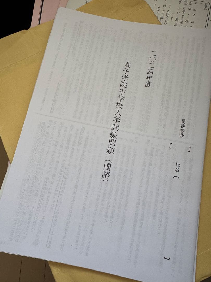 書き込みなし！NN女子学院 後期教材 土特 算数315 女子学院対策 過去問