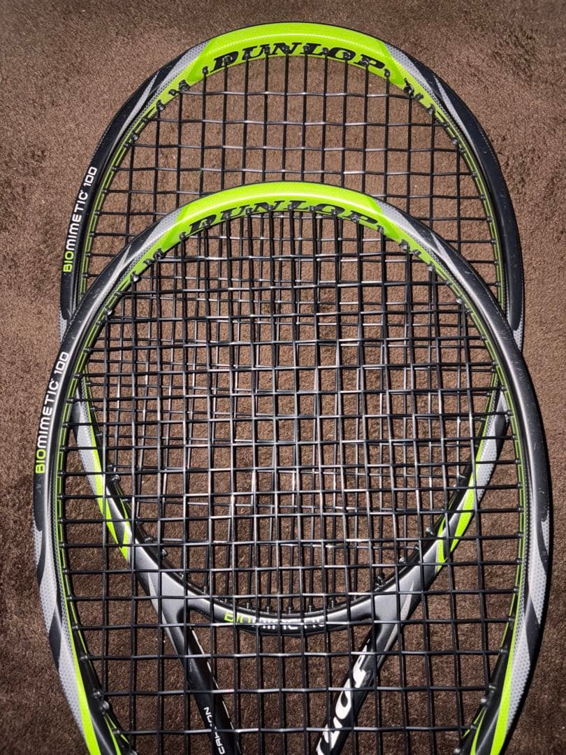 Dunlop BioMimetic （バイオメティック）100 G4