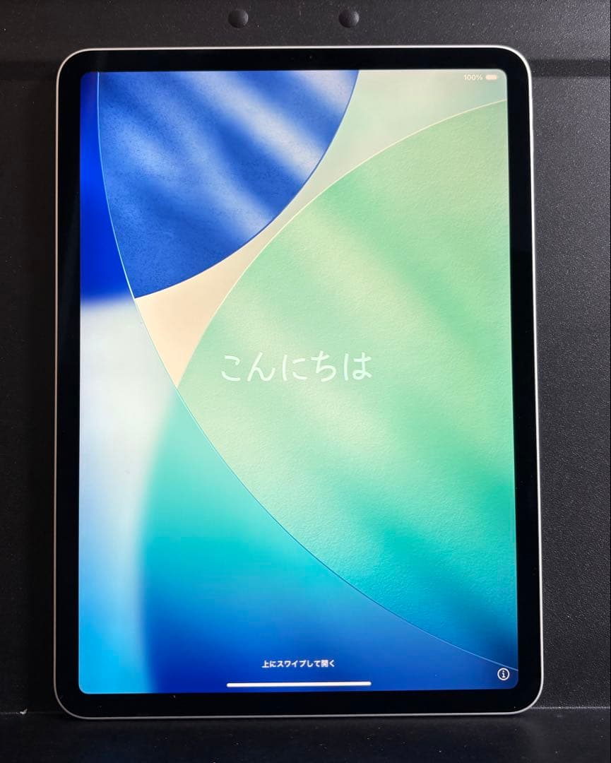 ジャンク品】iPad Pro 11インチ 第2世代 128GB Wi-Fi - メルカリ