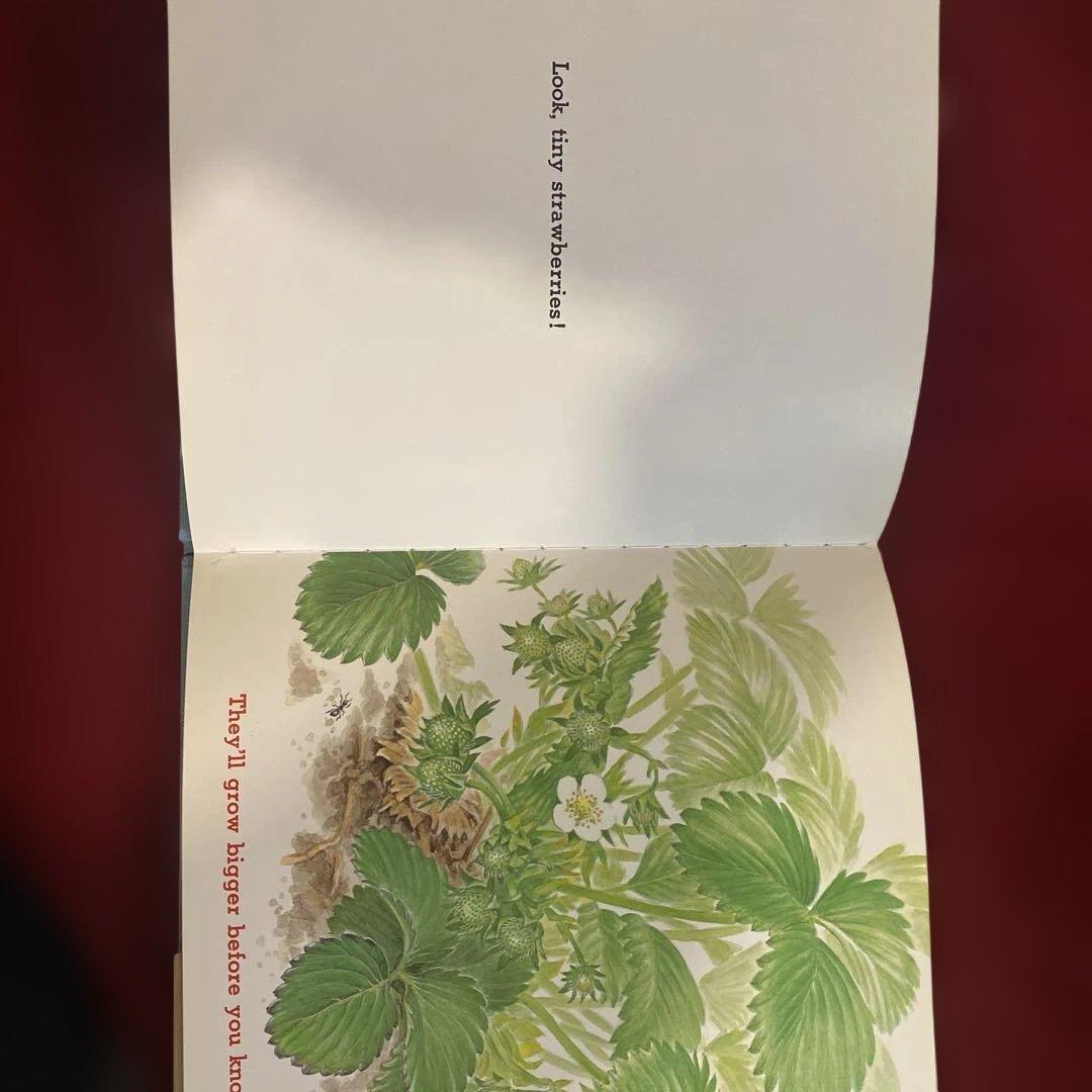 いちご・英語版―Strawberries - メルカリ