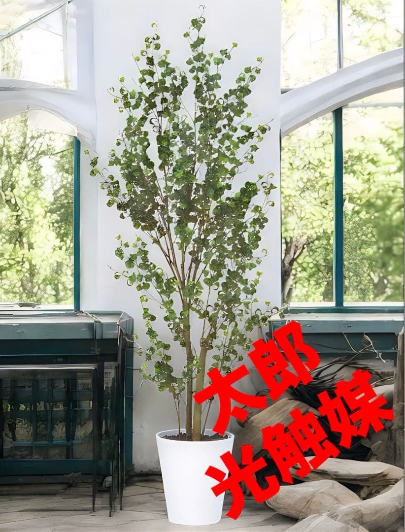 光触媒　人工観葉植物　フェイクグリーン　東北ベンジャミンバロック150 t23k91811-z.jpg