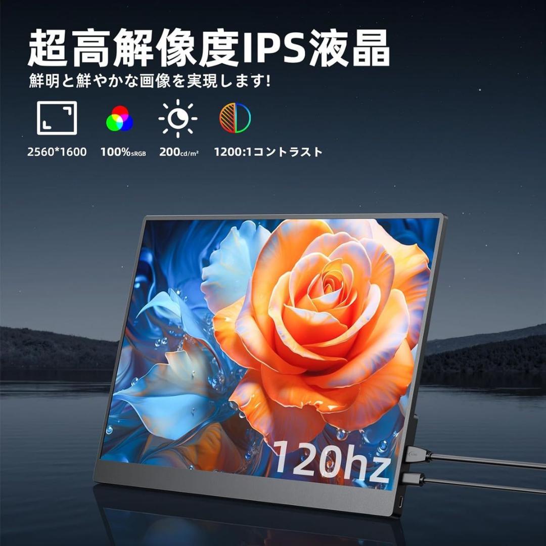 16インチ モバイルモニター WQXGA IPS液晶 100％sRGB広色域 - メルカリ