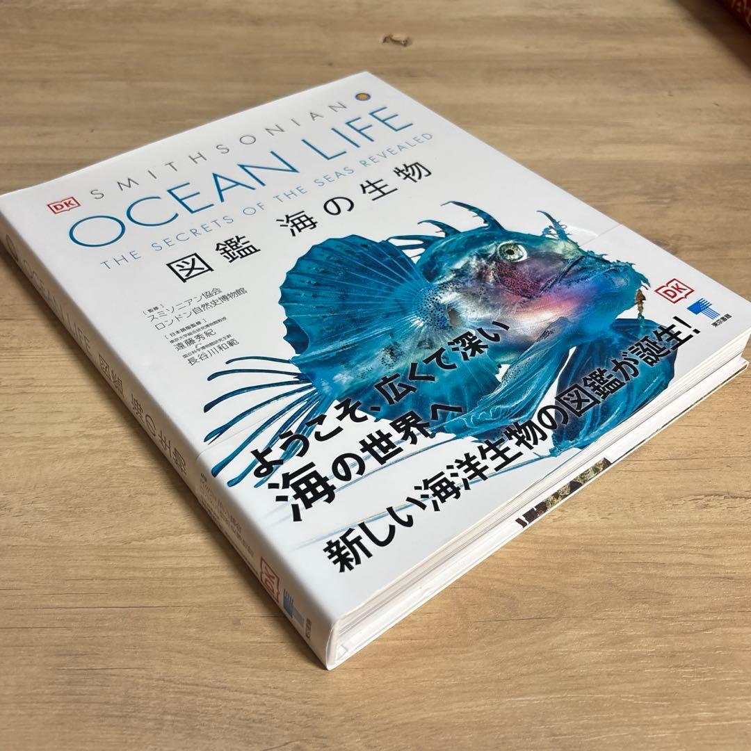 OCEAN LIFE 図鑑 海の生物 - メルカリ