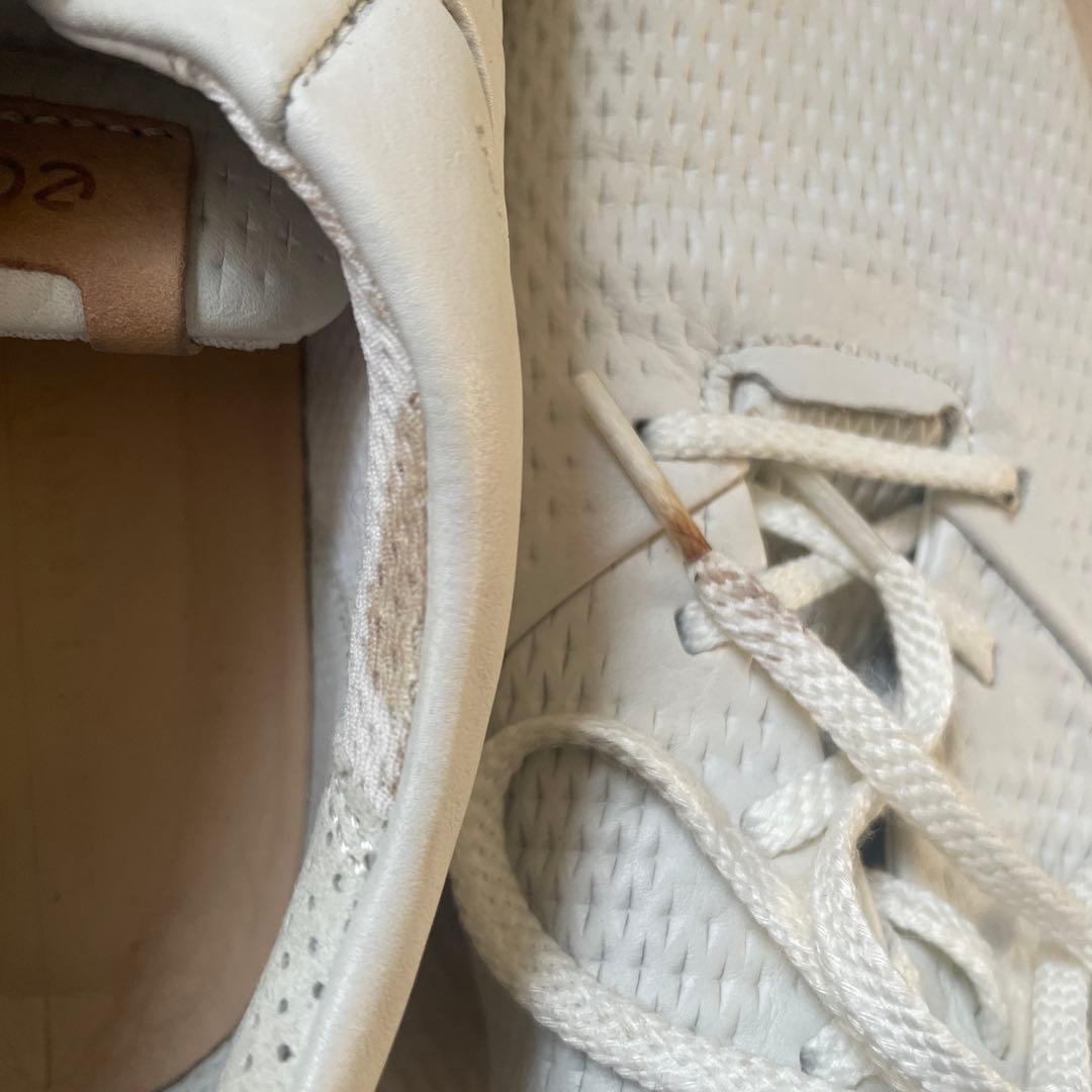 【未使用】24.5cm ECCO ゴルフシューズ ホワイト