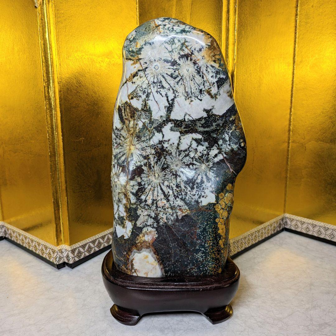 菊花石 岐阜県根尾谷産4.0㌔ 鑑賞石 観賞石 水石 盆石 鉱物 天然石