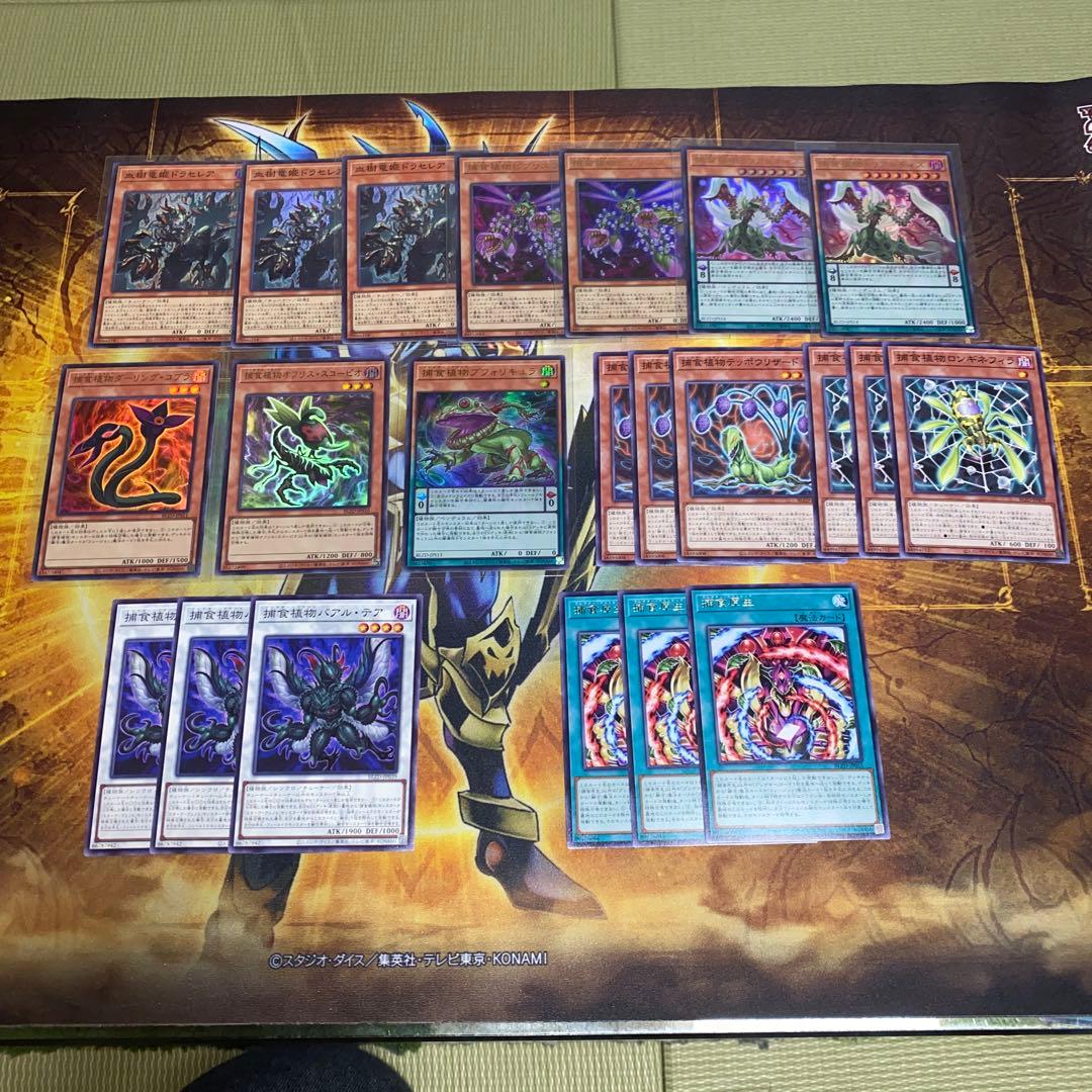 遊戯王 ドラセレア 捕食植物 デッキパーツ アシストワンパック封入