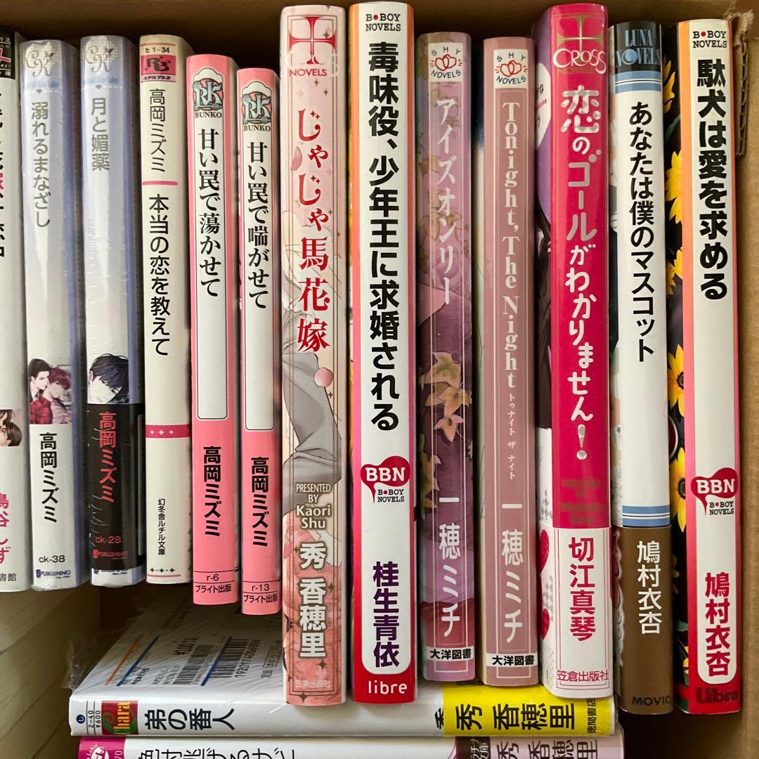 BL小説まとめ売り35冊 - メルカリ
