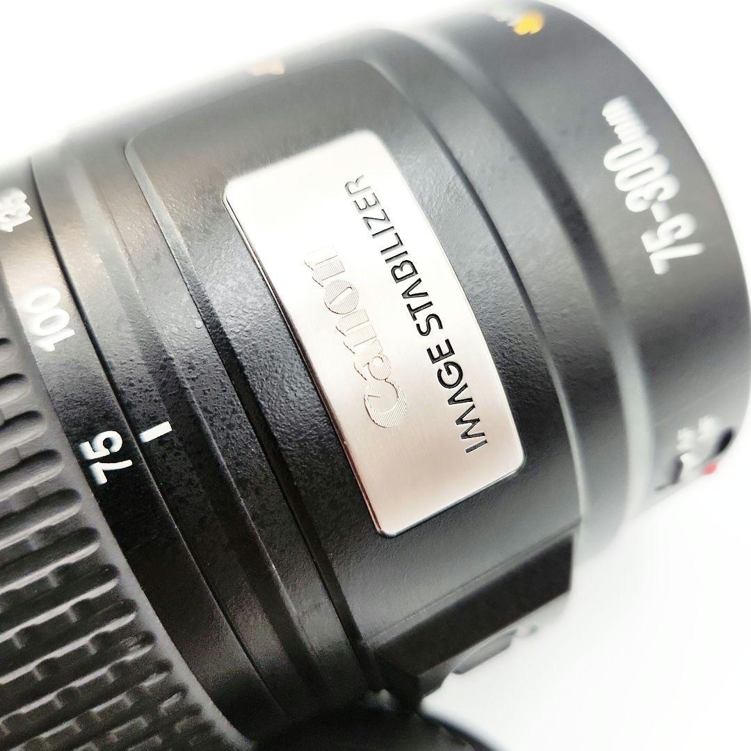 Canon EF 75-300mm f/4-5.6 IS イメージスタビライザー
