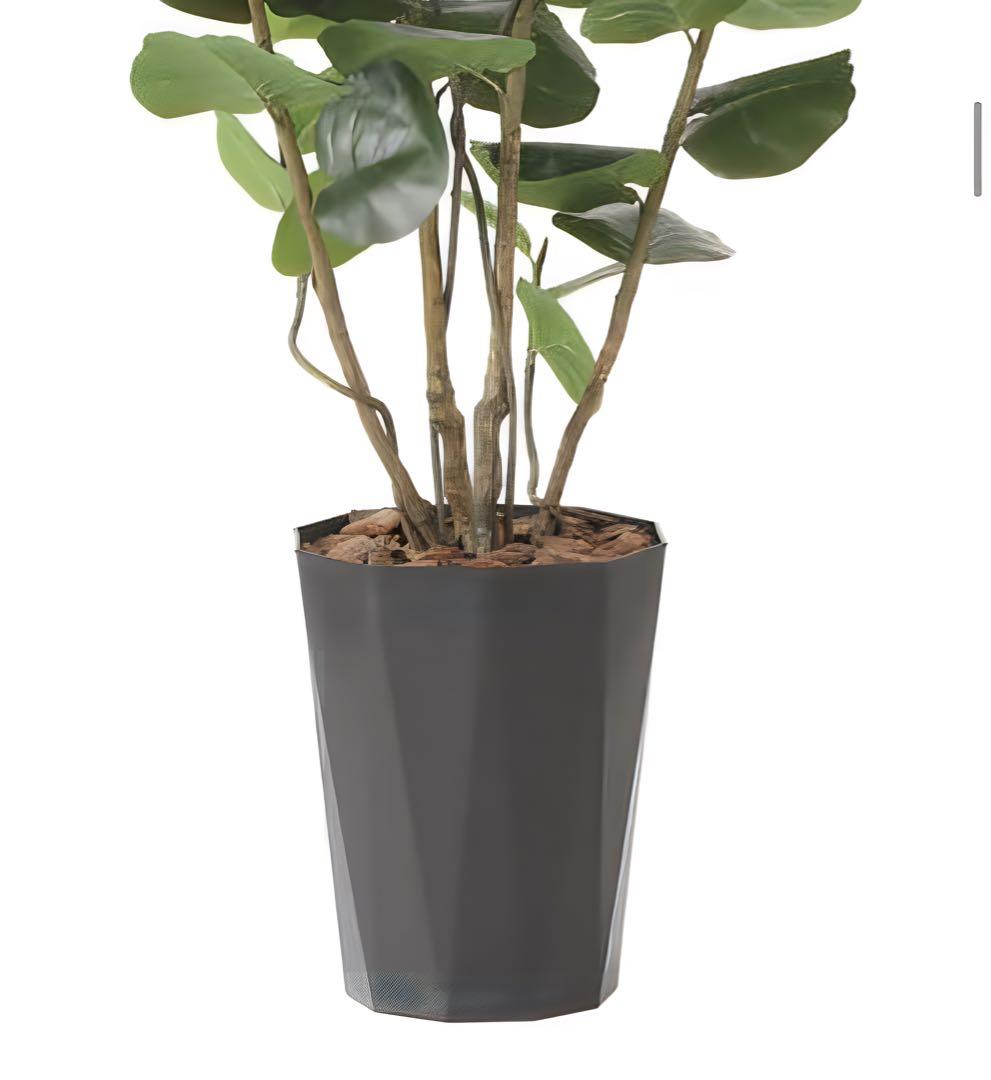 光触媒　人工観葉植物　フェイクグリーン　シーグレープDX 1.7m