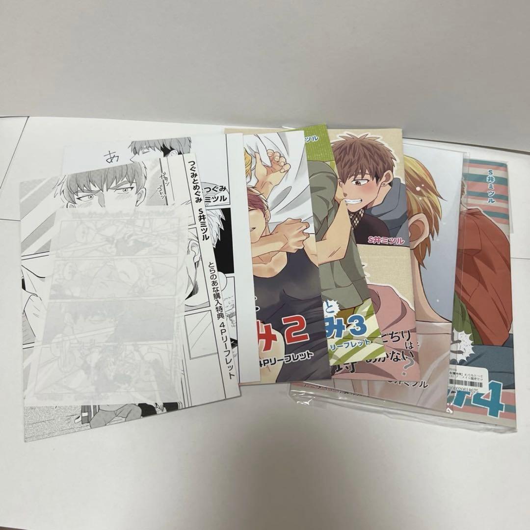 ＢＬ　３００３　めぐみとつぐみ①②③④、はやとちりは埒があかない？…S井ミツル